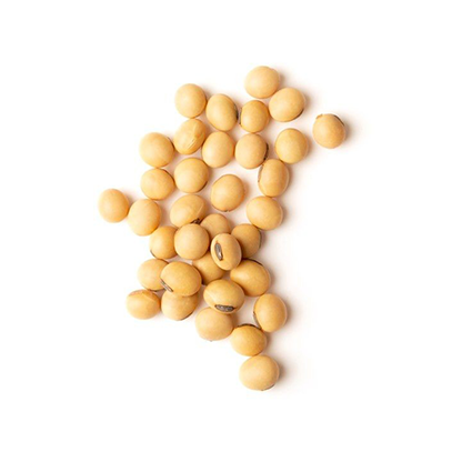 Soybean | Krishdev International