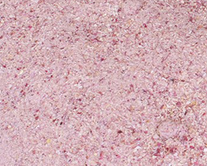 Pink Onion Granules | Krishdev International