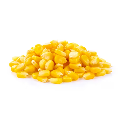 Maize | Krishdev International