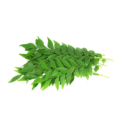 Curry Leaves | Krishdev International