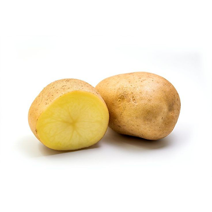 Potato | Krishdev International